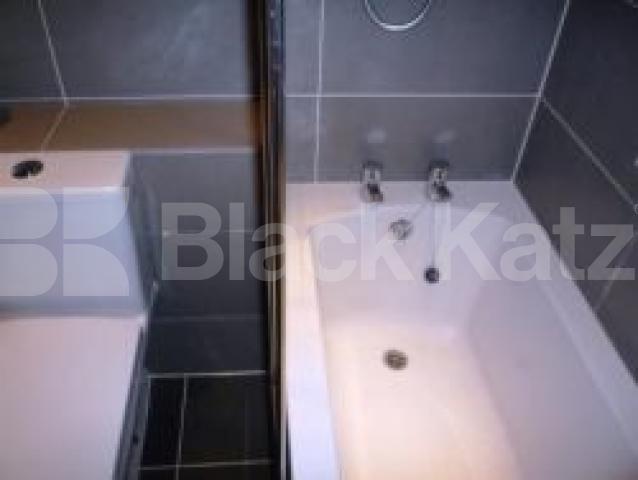 			Great flat!, 2 Bedroom, 1 bath, 1 reception Flat			 Wolseley Road, ALEXANDRA PALACE