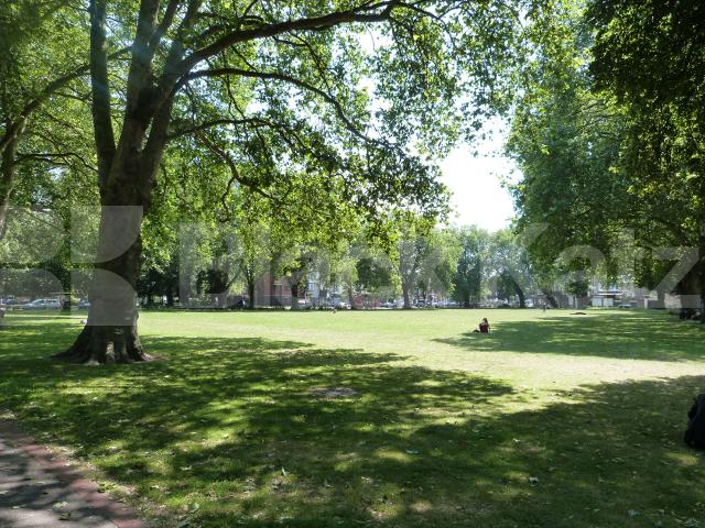 			GARDEN FLAT, 1 Bedroom, 1 bath, 1 reception Flat			 Hampden Road, Hornsey