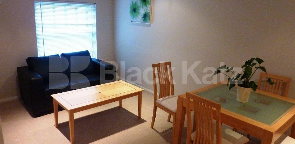 			NEW INSTRUCTION!, 1 Bedroom, 1 bath, 1 reception Flat			 Molyneaux Street, MARYLEBONE