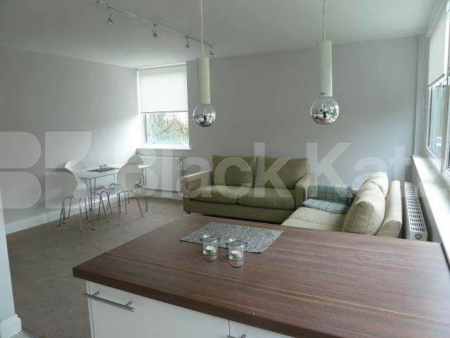 			New Instruction, 2 Bedroom, 1 bath, 1 reception Flat			 Mountview Road, FINSBURY PARK/ STROUD GREEN