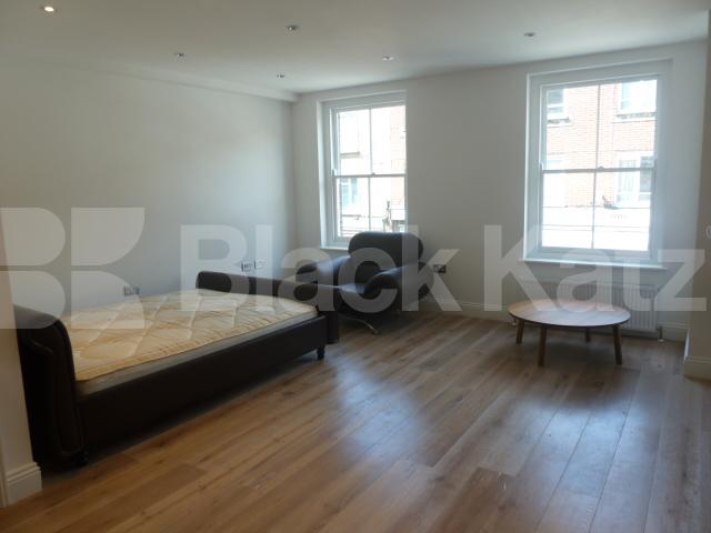 			SPACIOUS STUNNING BRAND NEW STUDIO IN ANGEL, Studio Apartment, 1 bath, 1 reception Flat			 Baron Street, ANGEL-ISLINGTON