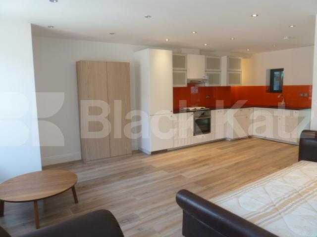 			SPACIOUS STUNNING BRAND NEW STUDIO IN ANGEL, Studio Apartment, 1 bath, 1 reception Flat			 Baron Street, ANGEL-ISLINGTON