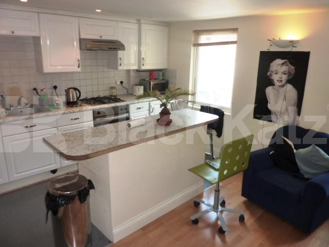 			GREAT LOCATION FOR ALL CENTRAL LONDON UNIVERSITEIES, 3 Bedroom, 1 bath, 1 reception Flat			 Kings Cross Road, KINGS CROSS-RUSSELL SQUARE