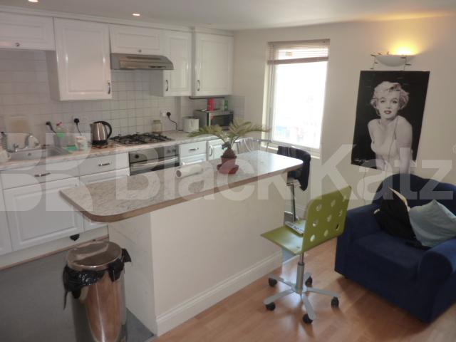 			NEW INSTRUCTION!, 3 Bedroom, 1 bath, 1 reception Flat			 Kings Cross Road, KINGS CROSS