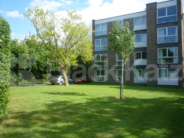 			1 Bedroom, 1 bath, 1 reception Flat			 Fortis Green, FORTIS GREEN