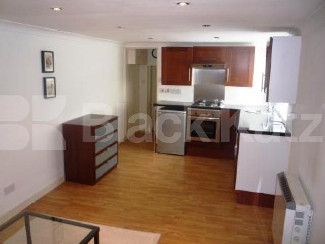 			Studio Apartment, 1 bath, 1 reception Flat			 Hornsey High Street, HORNSEY