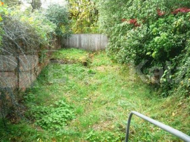 			Garden Flat!, 1 Bedroom, 1 bath, 1 reception Ground Floor Flat			 Wolseley Road, ALEXANDRA PALACE