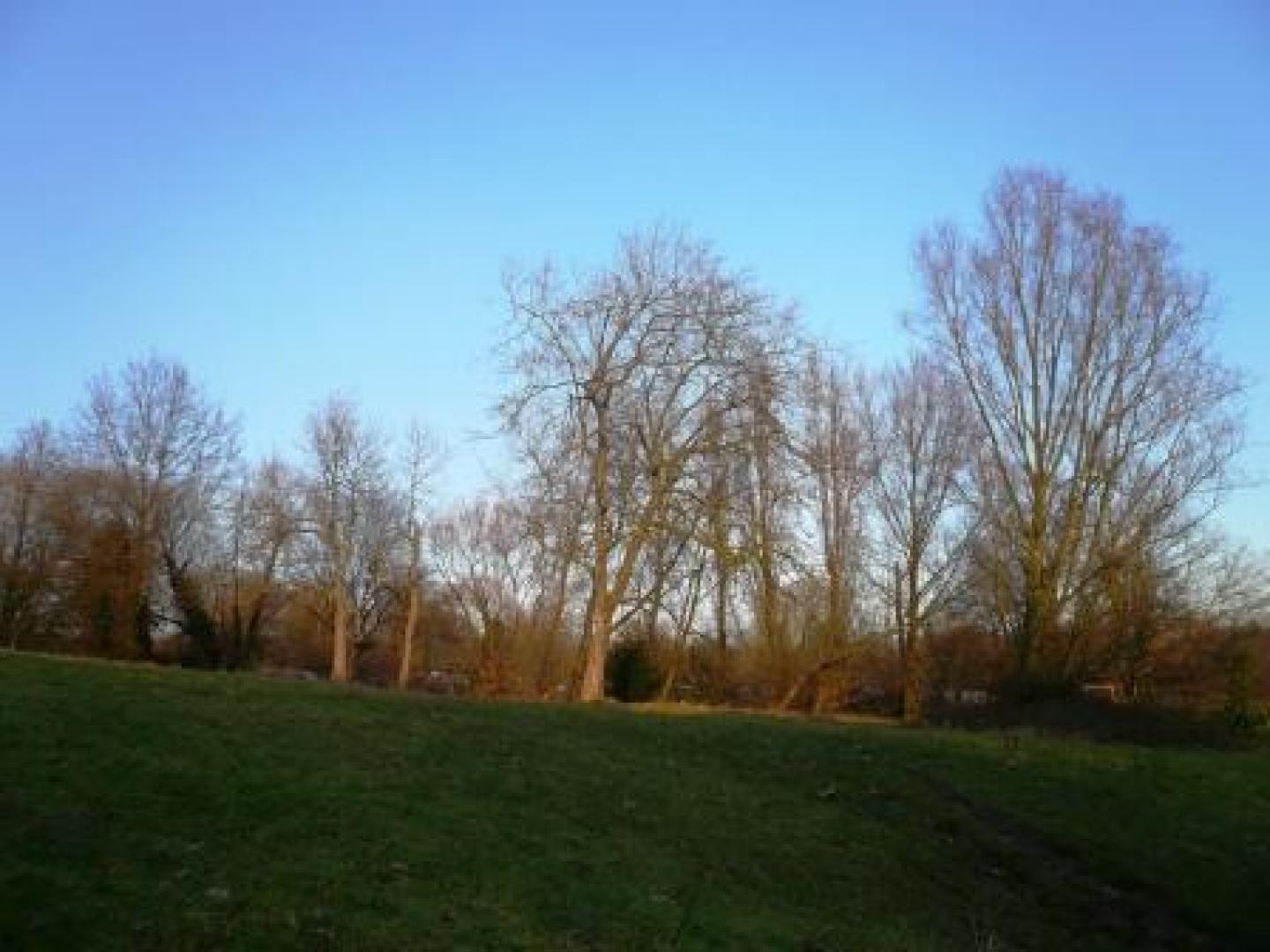 			2 Bedroom, 1 bath, 1 reception Flat			 Willow Road, HAMPSTEAD/HAMPSTEAD HEATH