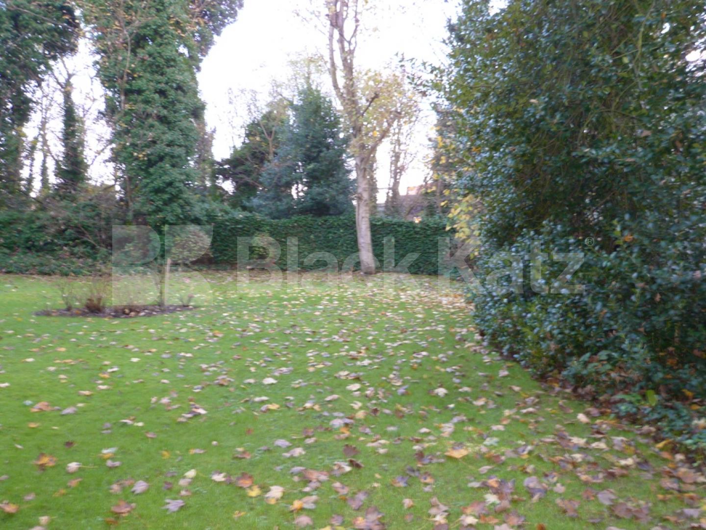 			New Instruction !, 1 Bedroom, 1 bath, 1 reception Flat			 Crescent Road, CROUCH END