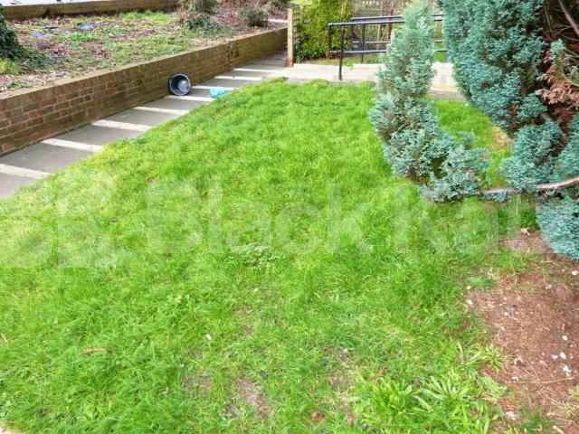 			Great Garden Proeperty !, 1 Bedroom, 1 bath, 1 reception Flat			 Ermine Road, Seven Sisters