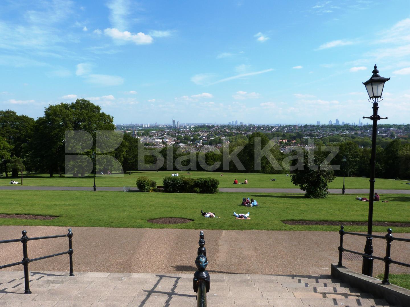 			Amazing Property !, 1 Bedroom, 1 bath, 1 reception Ground Floor Flat			 Alexandra Park Road, Muswell Hill