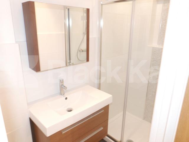 			NEW INSTRUCTION, Studio Apartment, 1 bath, 1 reception Apartment			 Thornton Avenue, CHISWICK / TURNHAM GREEN 