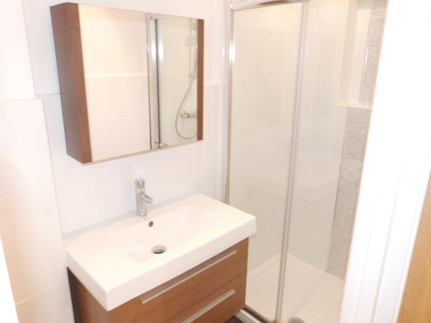 			NEW INSTRUCTION, Studio Apartment, 1 bath, 1 reception Apartment			 Thornton Avenue, CHISWICK / TURNHAM GREEN 