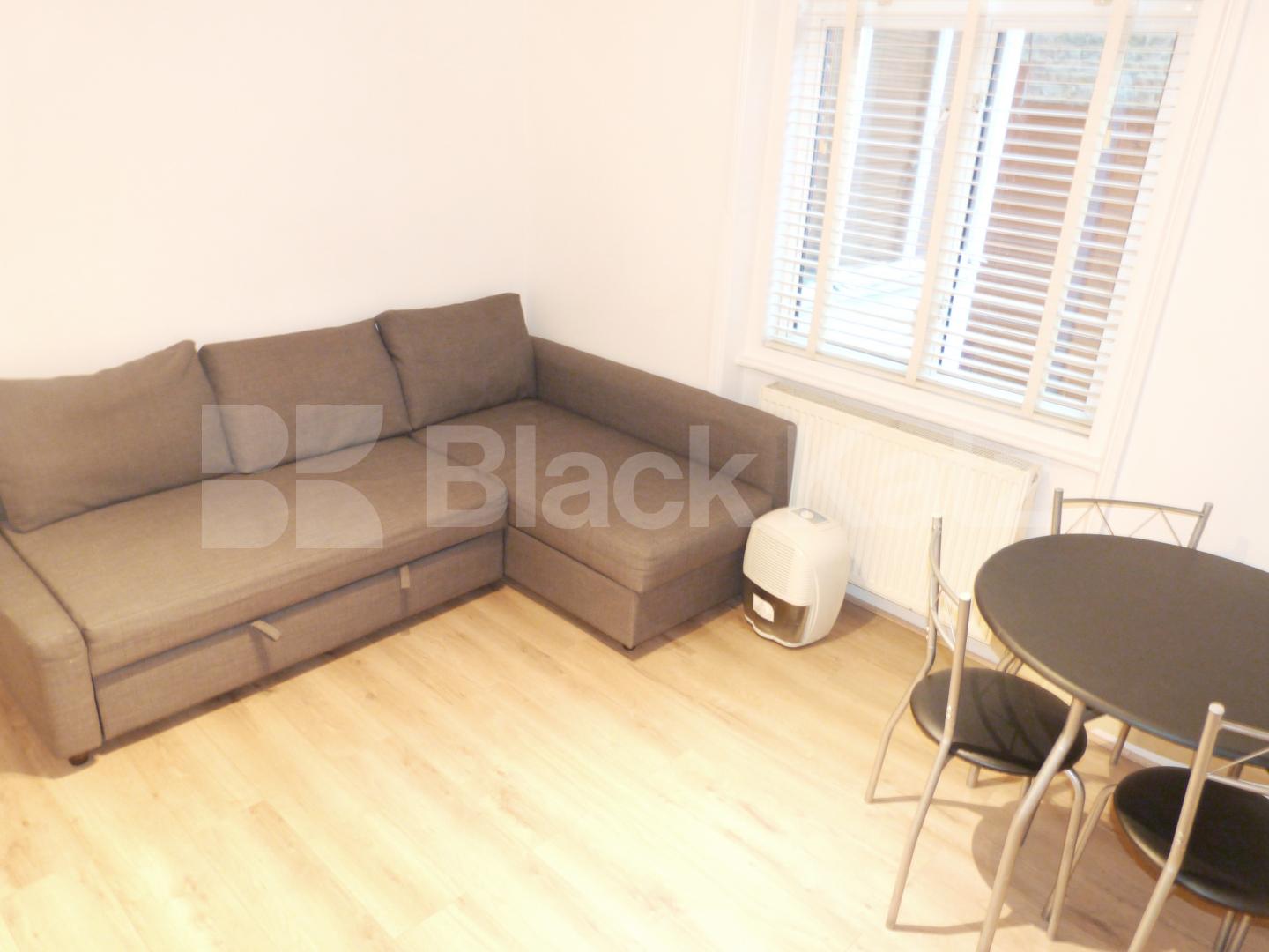 			NEW INSTRUCTION, Studio Apartment, 1 bath, 1 reception Apartment			 Thornton Avenue, CHISWICK / TURNHAM GREEN 