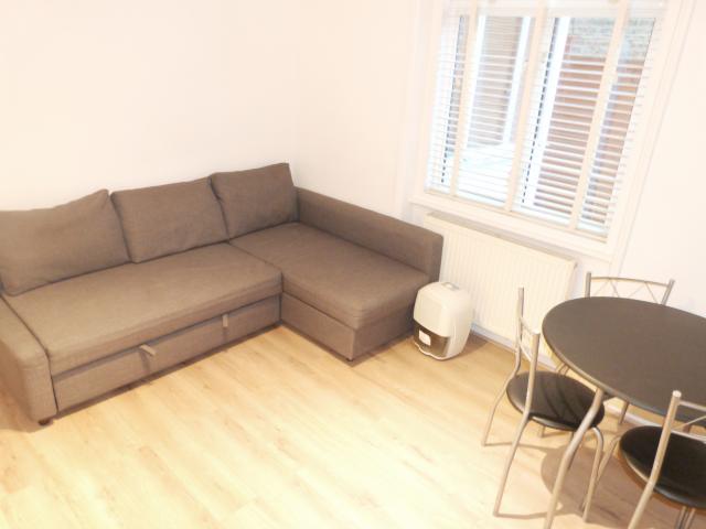 			NEW INSTRUCTION, Studio Apartment, 1 bath, 1 reception Apartment			 Thornton Avenue, CHISWICK / TURNHAM GREEN 