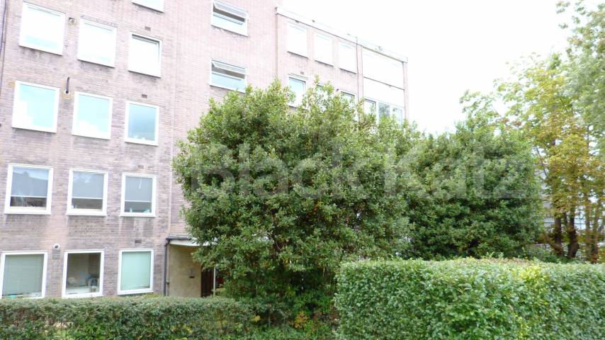 			1 Bedroom, 1 bath, 1 reception Flat			 Colney Hatch Lane, MUSWELL HILL