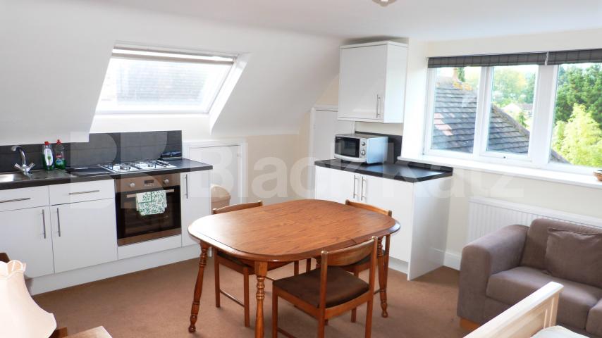 			Fantastic Studio !, Studio Apartment, 1 bath, 1 reception Studio			 Park Road, Crouch End