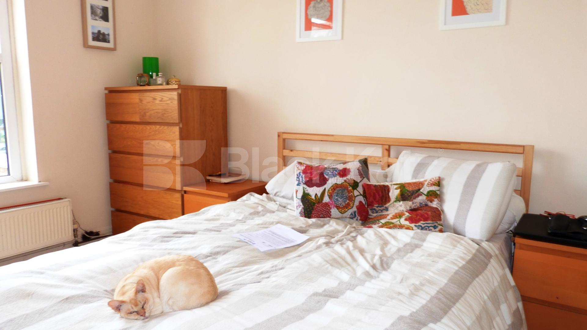 			Amazing Garden Flat !, 1 Bedroom, 1 bath, 1 reception Ground Floor Flat			 Maidstone Road, BOUNDS GREEN, N11