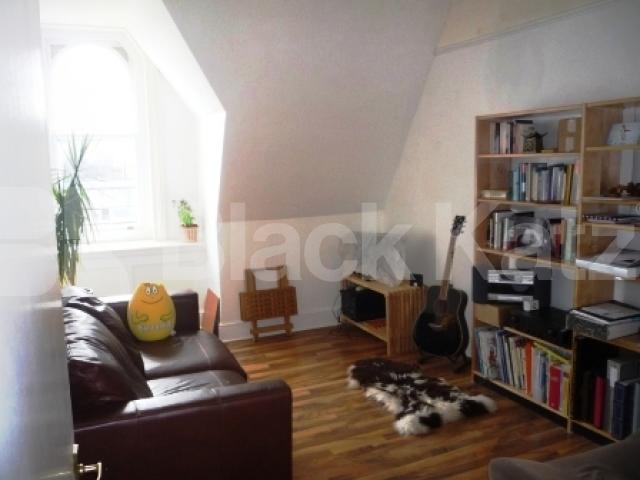 			NEW INSTRUCTION!, 1 Bedroom, 1 bath, 1 reception Flat			 Crouch End Hill, CROUCH END