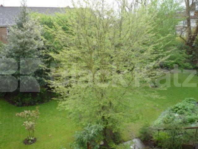 			1 Bedroom, 1 bath, 1 reception Flat			 Connaught Gardens, Muswell Hill