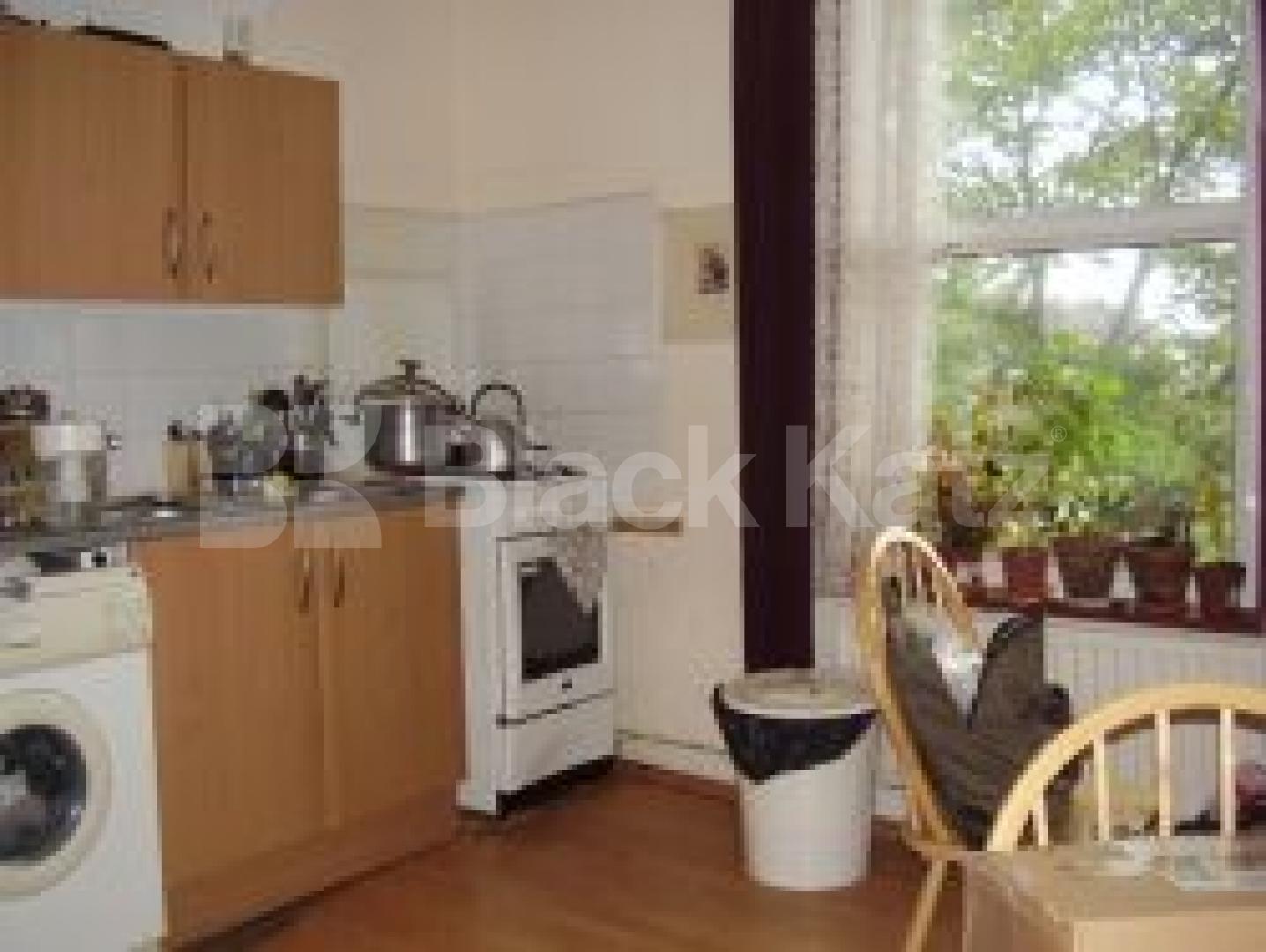 			1 Bedroom, 1 bath, 1 reception Flat			 Green Lanes, STOKE NEWINGTON N16