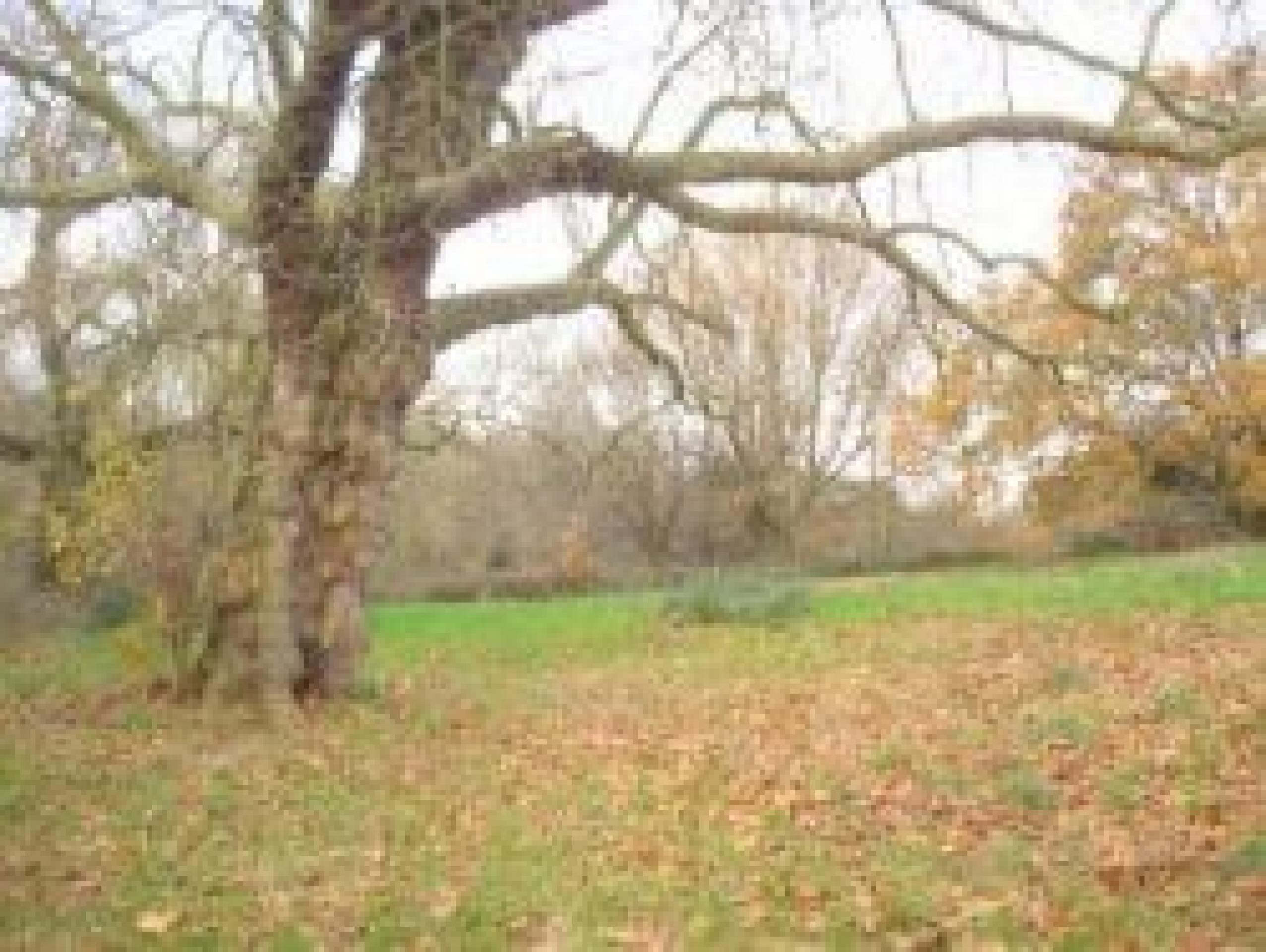 			1 Bedroom, 1 bath, 1 reception Flat			 Parliament Hill, HAMPSTEAD HEATH/BELSIZE PARK NW3