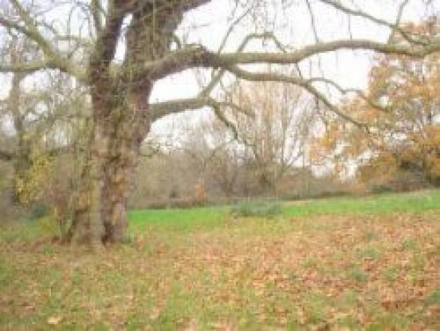 			1 Bedroom, 1 bath, 1 reception Flat			 Parliament Hill, HAMPSTEAD HEATH/BELSIZE PARK