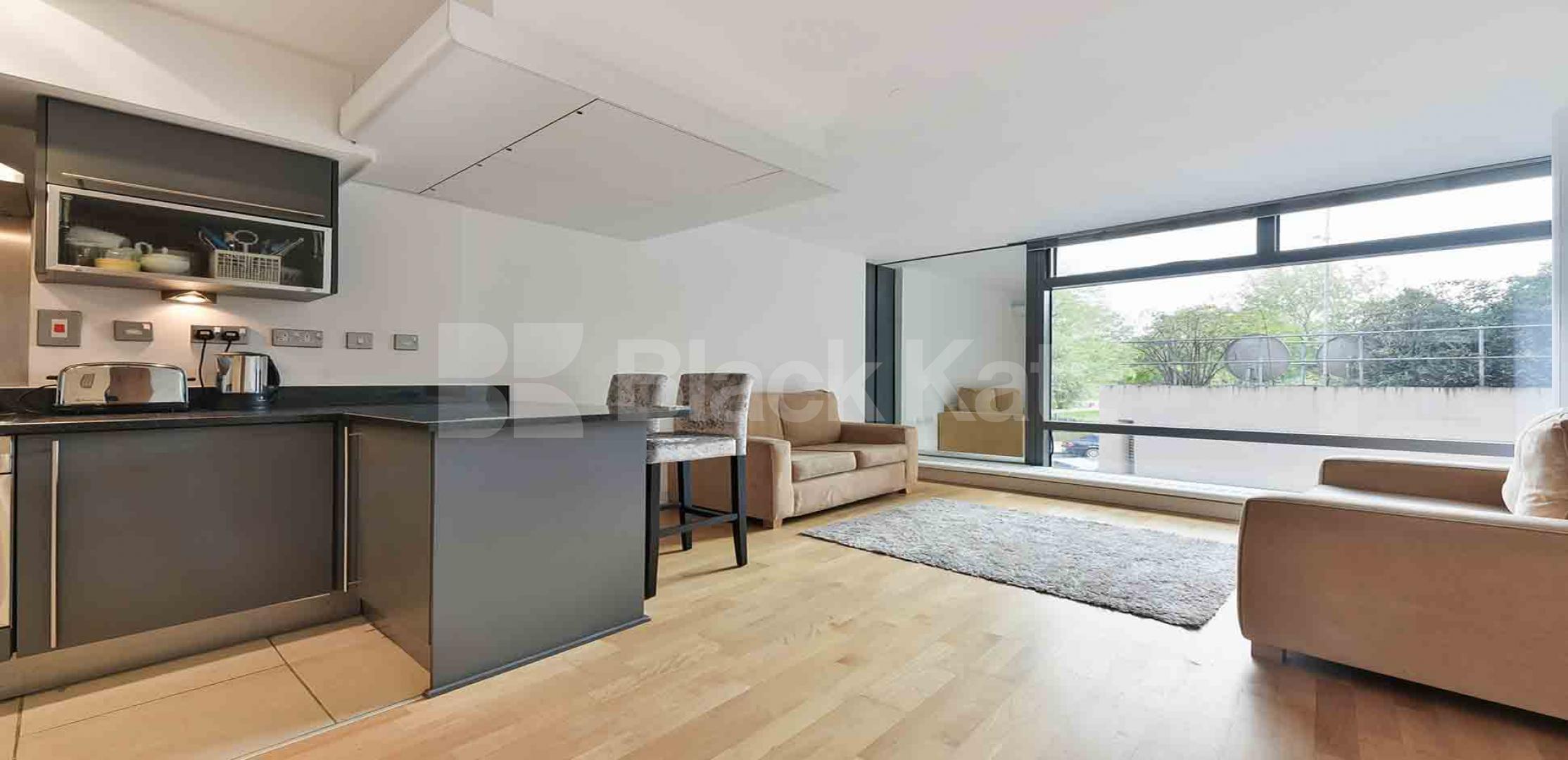 			NEW INSTRUCTION , 1 Bedroom, 1 bath, 1 reception Apartment			 Parliament View, Lambeth Bridge, Waterloo