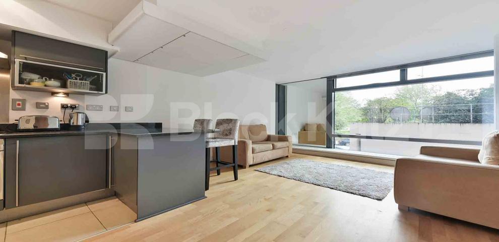 			NEW INSTRUCTION , 1 Bedroom, 1 bath, 1 reception Apartment			 Parliament View, Lambeth Bridge, Waterloo