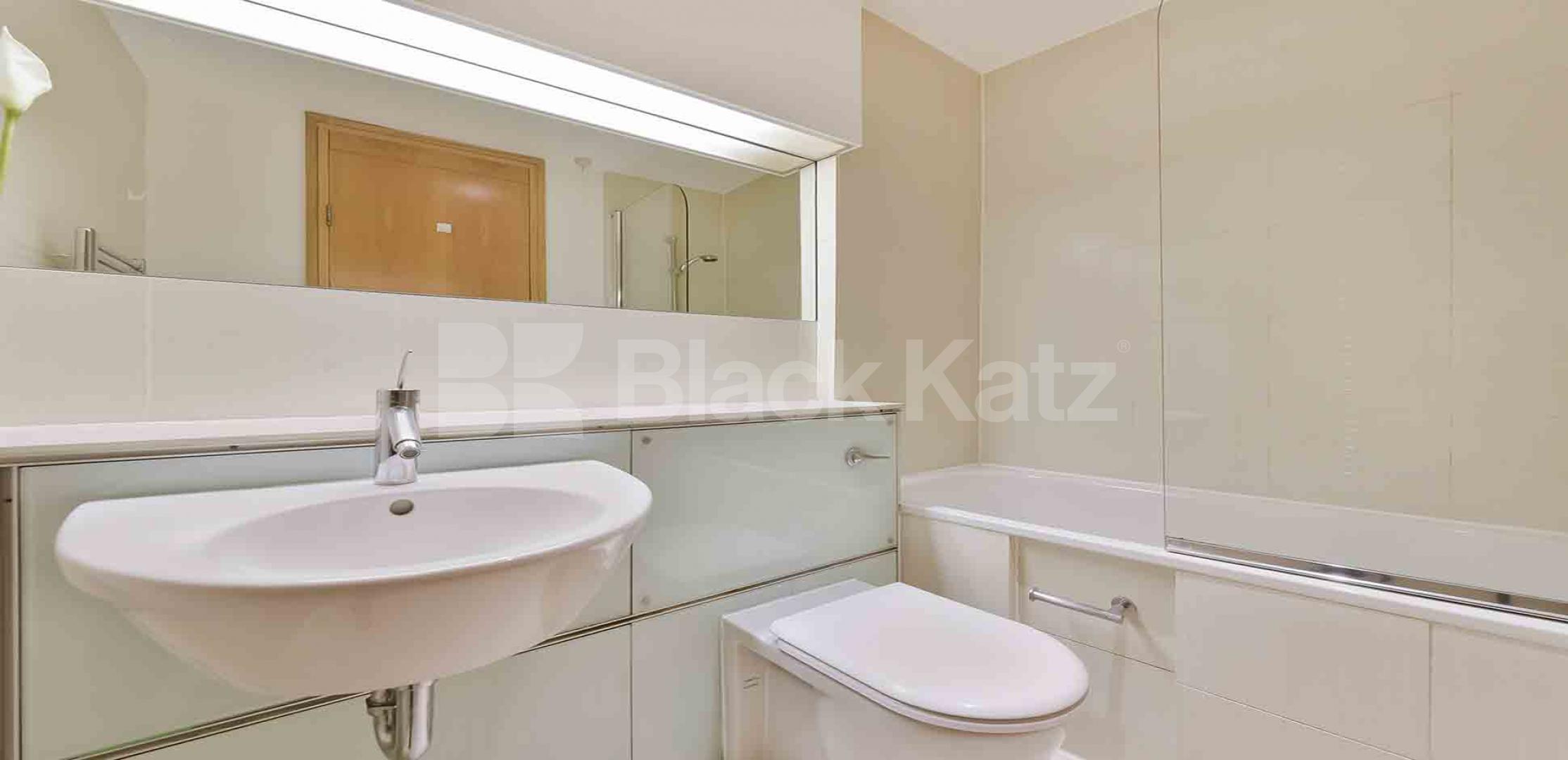 			NEW INSTRUCTION , 1 Bedroom, 1 bath, 1 reception Apartment			 Parliament View, Lambeth Bridge, Waterloo