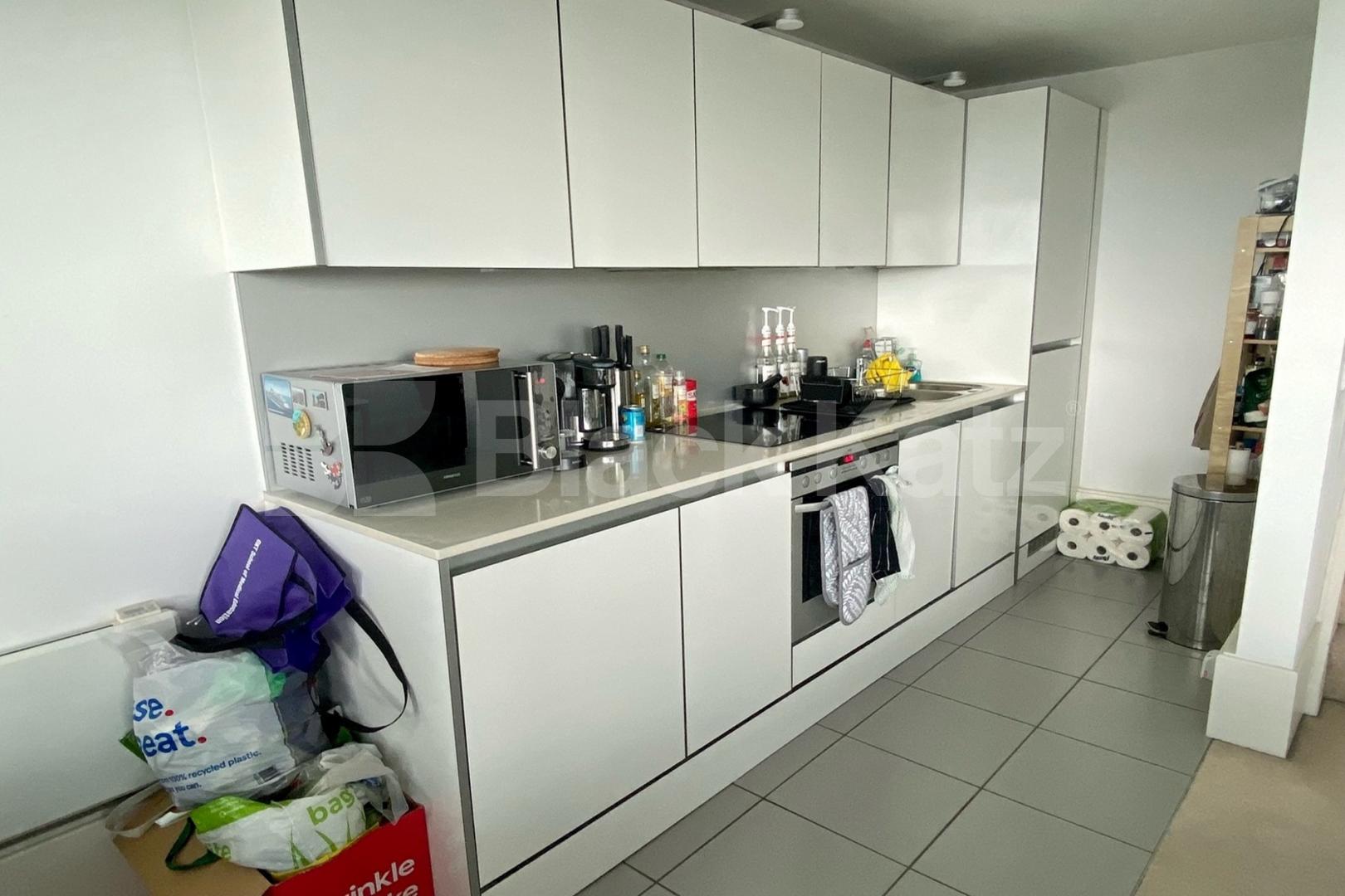 Stunning views, duplex apartment, includes water rates Aragon Tower George Beard Road,  Rotherhithe / Deptford