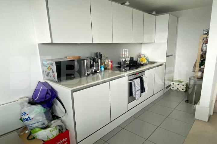 Stunning views, duplex apartment, includes water rates Aragon Tower George Beard Road,  Rotherhithe / Deptford