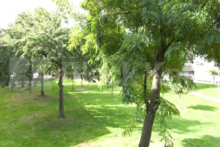 			NEW INSTRUCTION, 3 Bedroom, 1 bath, 1 reception Flat			 Treadgold Street, LADBROKE GROVE