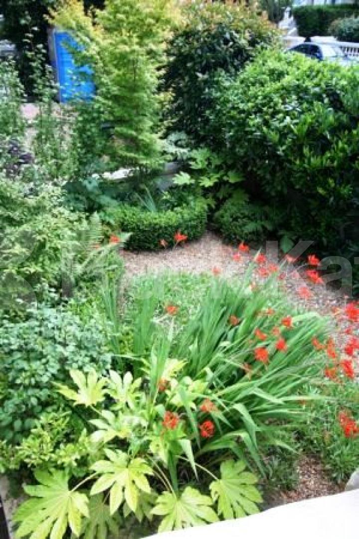 			NEW INSTRUICTION / GARDEN, 1 Bedroom, 1 bath, 1 reception Flat			 Belsize Park, BELSIZE PARK