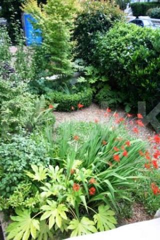 			NEW INSTRUICTION / GARDEN, 1 Bedroom, 1 bath, 1 reception Flat			 Belsize Park, BELSIZE PARK