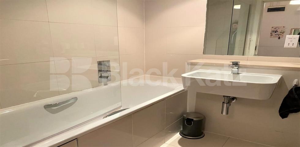 			VIRTUAL TOUR AVAILABLE!, 2 Bedroom, 1 bath, 1 reception Ground Floor Flat			 Queens Avenue, MUSWELL HILL