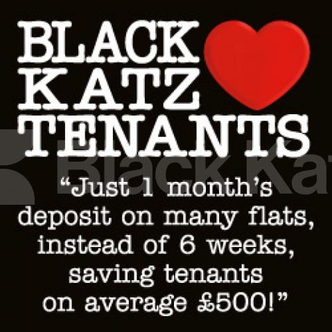 			1 MONTHS DEPOSIT SAVING YOU £609!, 1 Bedroom, 1 bath, 1 reception Flat			 Swinton Street, KINGS CROSS 