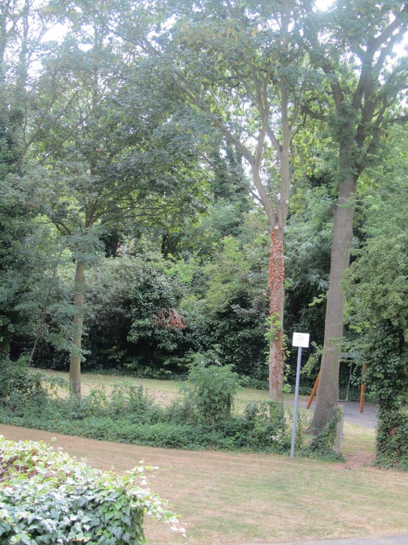 			MUST BE SEEN, 2 Bedroom, 1 bath, 1 reception Flat			 Cavendish Close, KILBURN