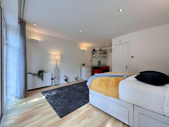 Modern and Central Apartment Wembley Hill Road , Wembley Park