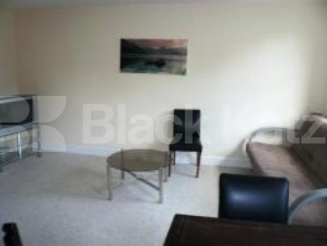 			NEW INSTRUCTION, 1 Bedroom, 1 bath, 1 reception Flat			 Clarendon Road, Holland Park