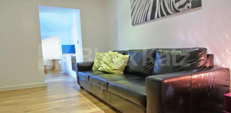 			ZONE 1 LOCATION, 5 Bedroom, 1 bath, 1 reception Apartment			 BYNG PLACE WC1E, RUSSELL SQUARE - EUSTON - FITZROVIA 
