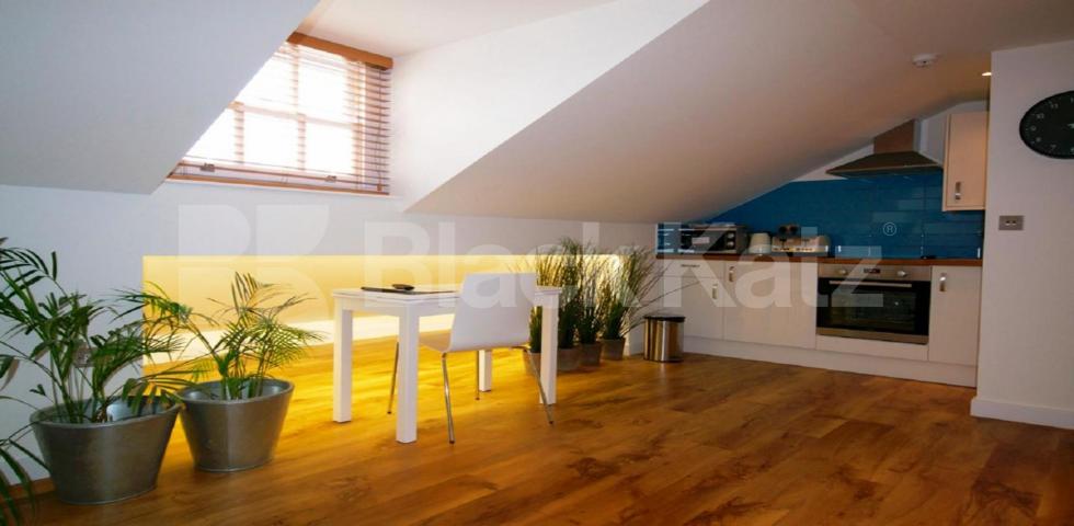 			ZONE 1 LOCATION, 5 Bedroom, 1 bath, 1 reception Apartment			 BYNG PLACE WC1E, RUSSELL SQUARE - EUSTON - FITZROVIA 