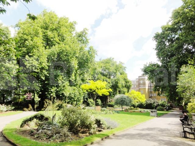 			NEW INSTRUCTION!, Studio Apartment, 1 bath, 1 reception Studio			 Grays Inn Road, RUSSELL SQUARE / KINGS CROSS