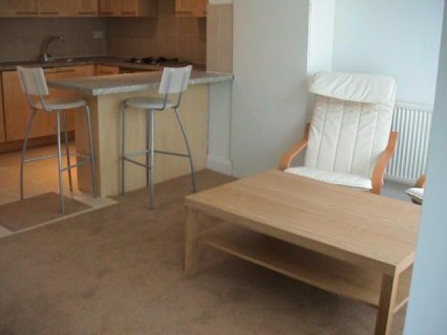 			Spacious, Studio Apartment, 1 bath, 1 reception Flat			 Hendon Way, GOLDERS GREEN
