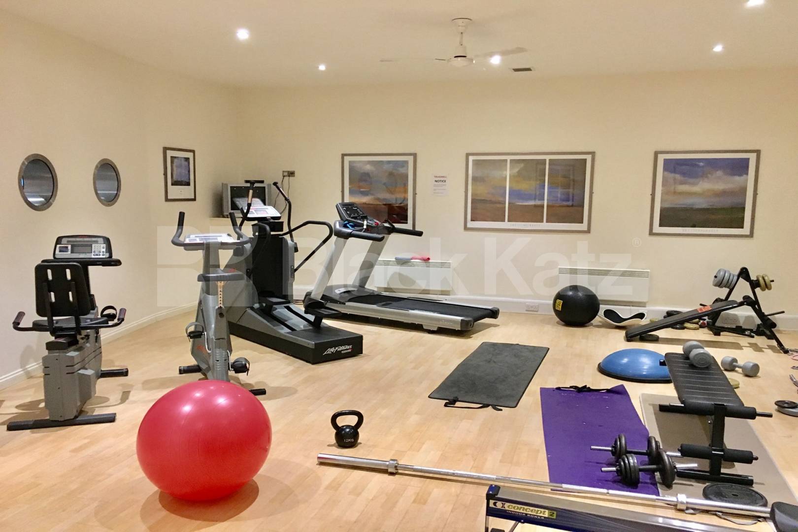 Beautiful penthouse, includes concierge, on site gym & water rates. Longstone Court.Great Dover Steet, Borough/London Bridge