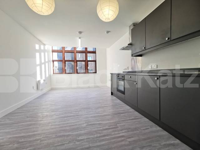 Stunning Apartment Villiers Road, Willesden Green