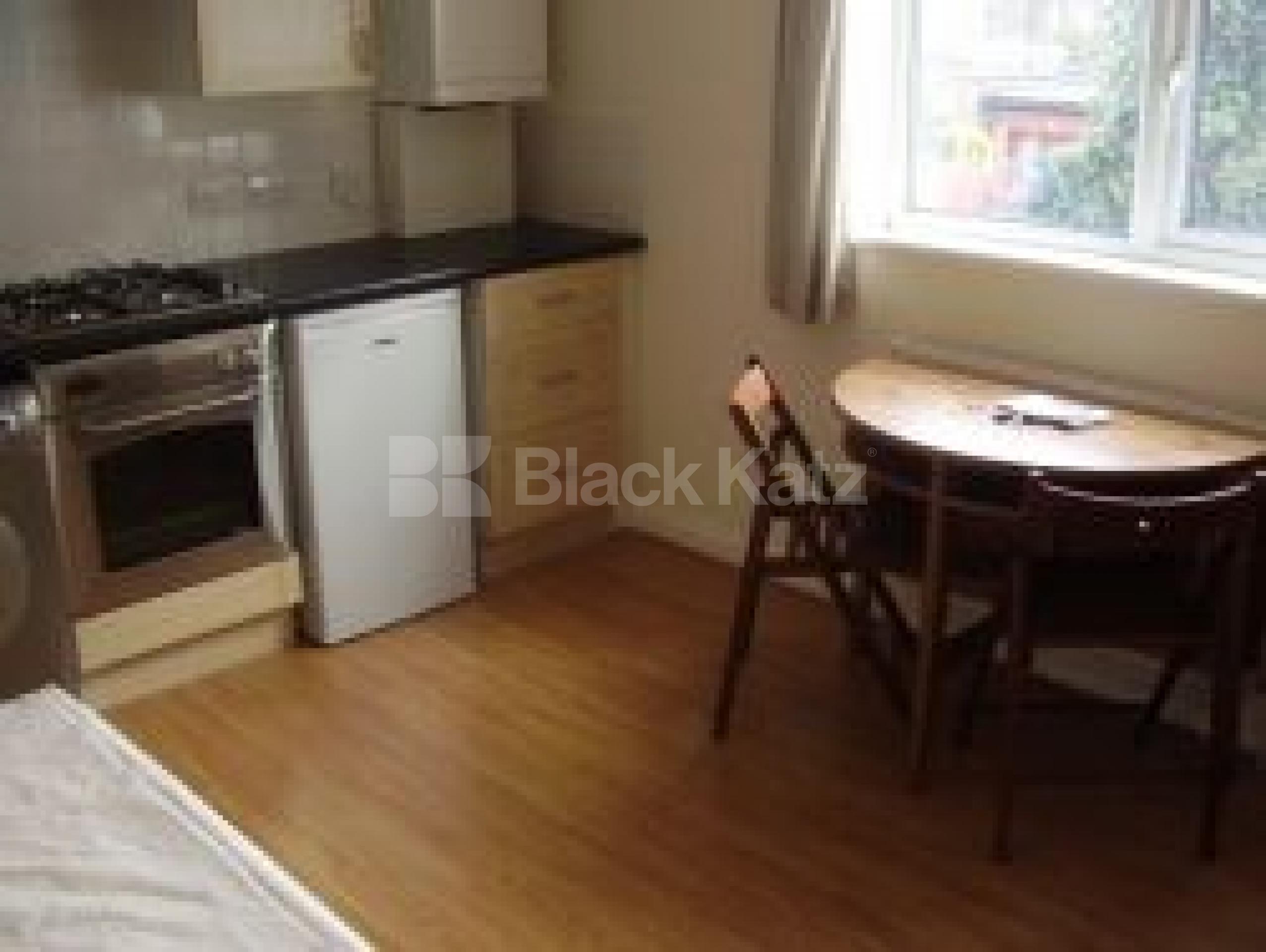 			Studio Apartment, 1 bath, 1 reception Flat			 Hermitage Road, FINSBURY PARK N4 N4