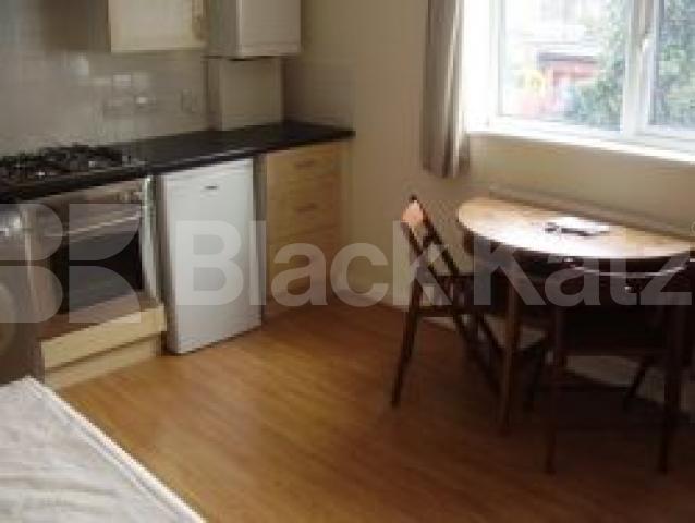 			Studio Apartment, 1 bath, 1 reception Flat			 Hermitage Road, FINSBURY PARK N4