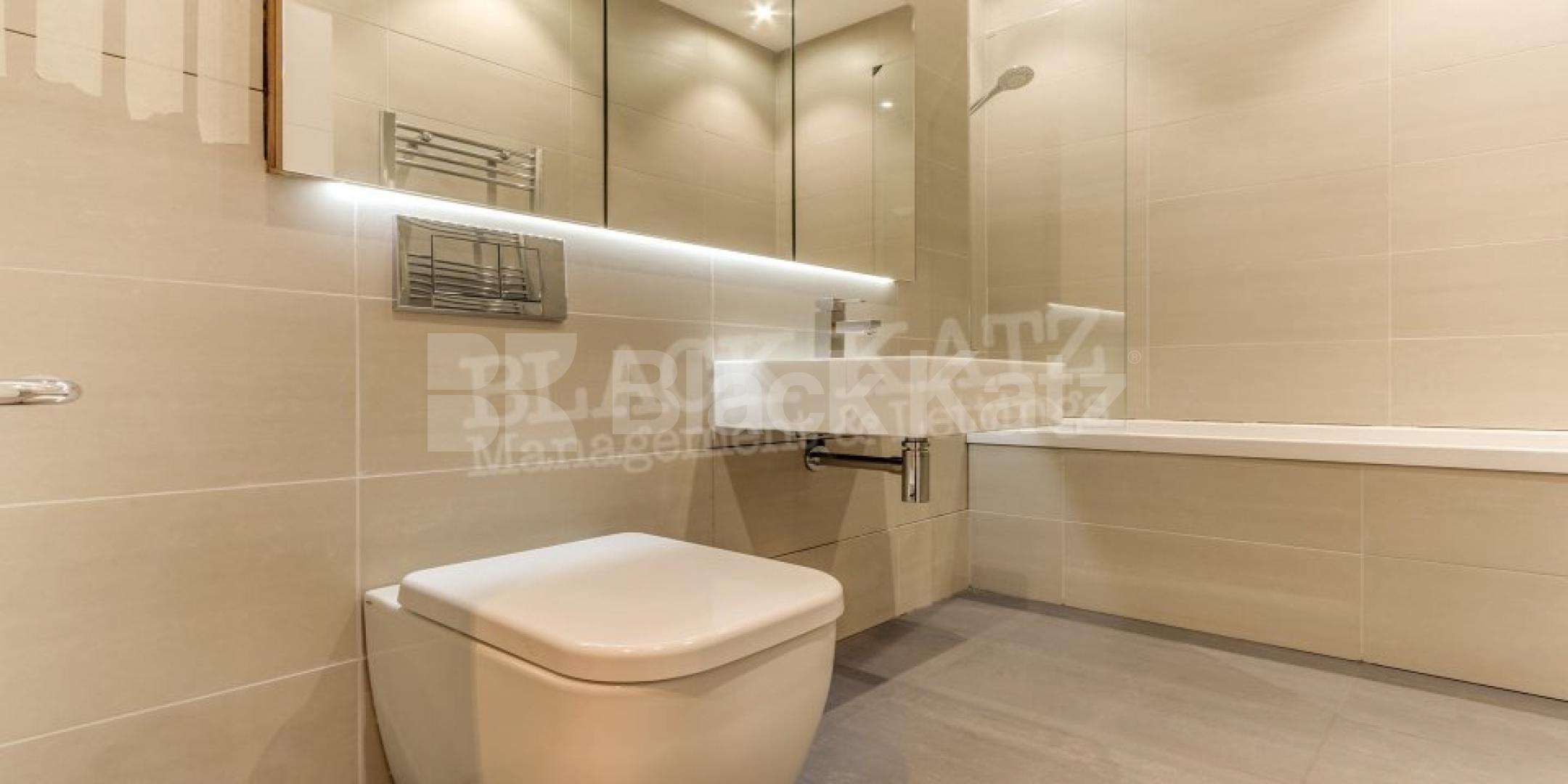 			New Instruction!, 1 Bedroom, 1 bath, 1 reception Apartment			 Wetherill Road, Muswell Hill