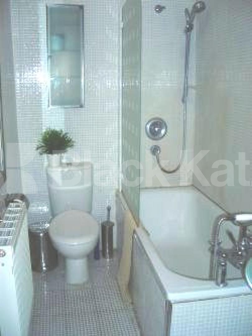 			GARDEN FLAT!, 1 Bedroom, 1 bath, 1 reception Flat			 Landseer Road, ARCHWAY